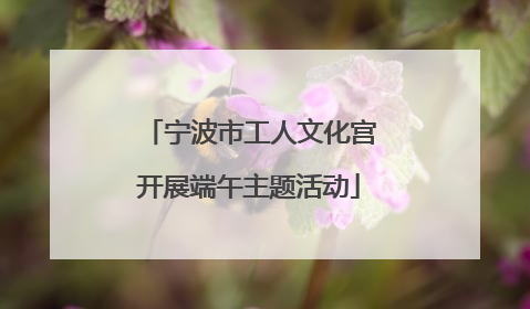 宁波市工人文化宫开展端午主题活动