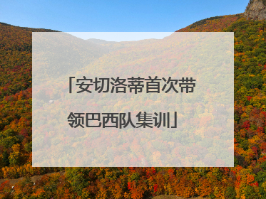 安切洛蒂首次带领巴西队集训