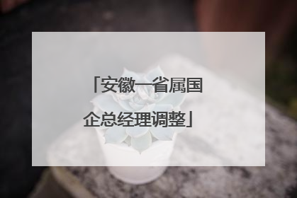 安徽一省属国企总经理调整