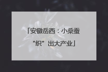 安徽岳西：小桑蚕“织”出大产业