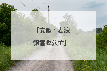 安徽：麦浪飘香收获忙