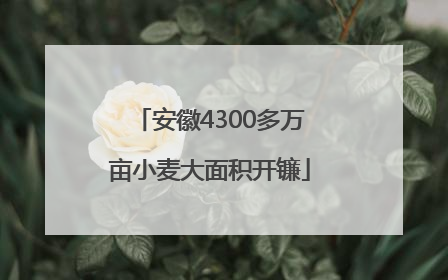 安徽4300多万亩小麦大面积开镰