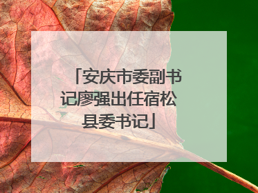 安庆市委副书记廖强出任宿松县委书记