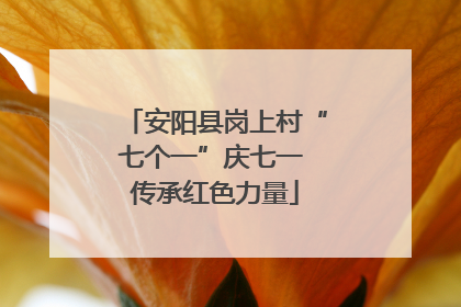 安阳县岗上村“七个一”庆七一 传承红色力量