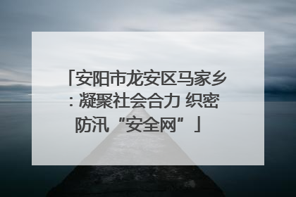 安阳市龙安区马家乡：凝聚社会合力 织密防汛“安全网”
