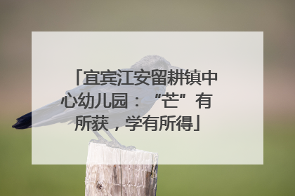 宜宾江安留耕镇中心幼儿园：“芒”有所获，学有所得