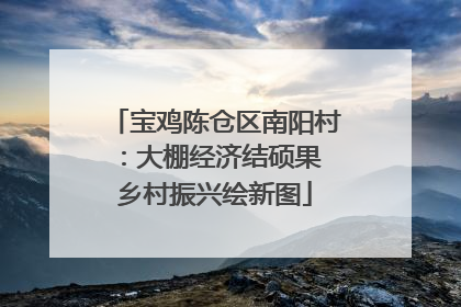 宝鸡陈仓区南阳村：大棚经济结硕果 乡村振兴绘新图