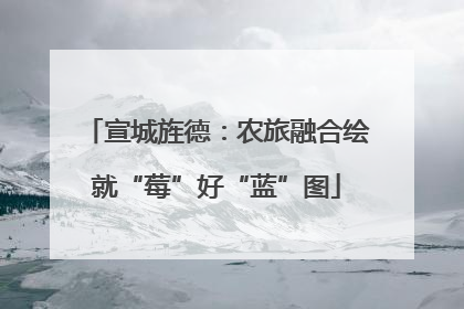 宣城旌德：农旅融合绘就“莓”好“蓝”图