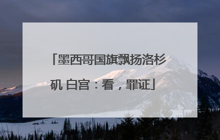 墨西哥国旗飘扬洛杉矶 白宫：看，罪证