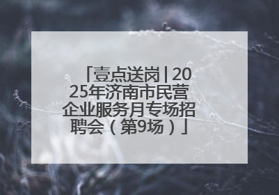 壹点送岗│2025年济南市民营企业服务月专场招聘会（第9场）