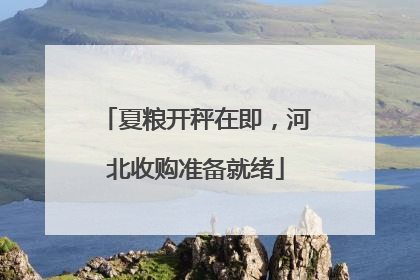 夏粮开秤在即，河北收购准备就绪