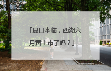 夏日来临，西湖六月黄上市了吗？