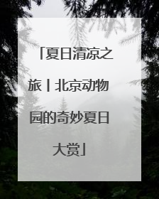 夏日清凉之旅丨北京动物园的奇妙夏日大赏