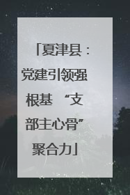 夏津县：党建引领强根基 “支部主心骨”聚合力