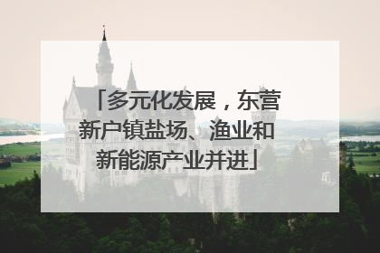 多元化发展，东营新户镇盐场、渔业和新能源产业并进