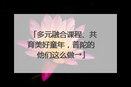 多元融合课程、共育美好童年，普陀的他们这么做→