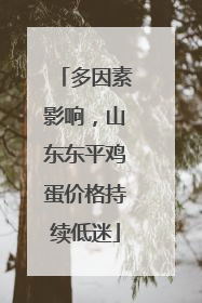 多因素影响，山东东平鸡蛋价格持续低迷
