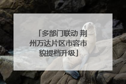 多部门联动 荆州万达片区市容市貌提档升级