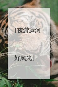 夜游运河好风光