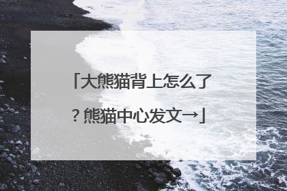 大熊猫背上怎么了？熊猫中心发文→