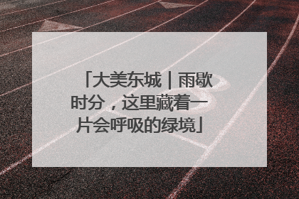 大美东城｜雨歇时分，这里藏着一片会呼吸的绿境