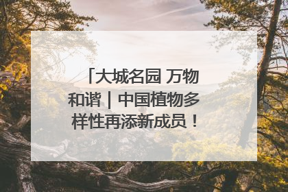 大城名园 万物和谐｜中国植物多样性再添新成员！它只在西藏墨脱