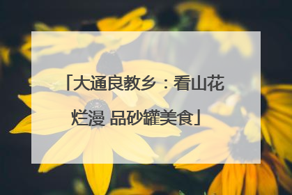 大通良教乡：看山花烂漫 品砂罐美食