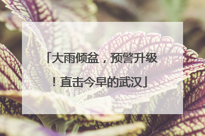 大雨倾盆，预警升级！直击今早的武汉