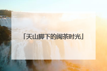 天山脚下的闽茶时光