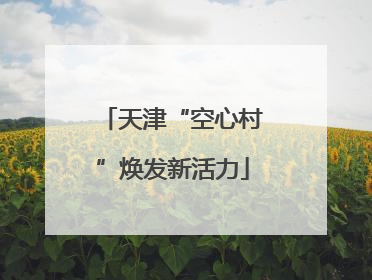 天津“空心村”焕发新活力
