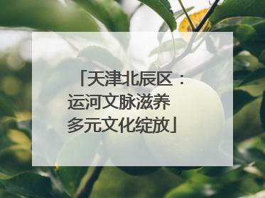天津北辰区：运河文脉滋养 多元文化绽放