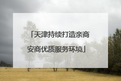 天津持续打造亲商安商优质服务环境