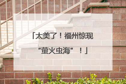 太美了！福州惊现“萤火虫海”！