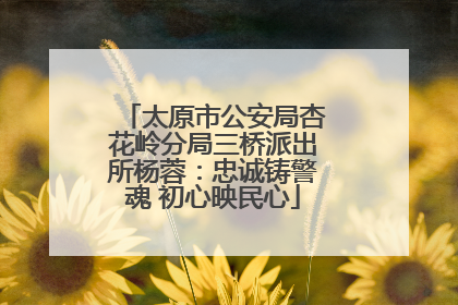太原市公安局杏花岭分局三桥派出所杨蓉：忠诚铸警魂 初心映民心