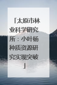 太原市林业科学研究所：小叶杨种质资源研究实现突破