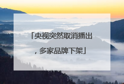央视突然取消播出，多家品牌下架
