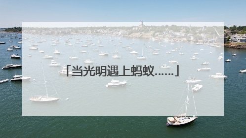 当光明遇上蚂蚁……
