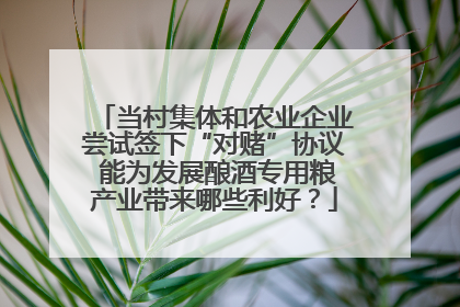 当村集体和农业企业尝试签下“对赌”协议 能为发展酿酒专用粮产业带来哪些利好？