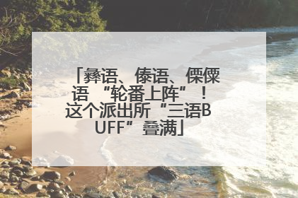 彝语、傣语、傈僳语 “轮番上阵”！这个派出所“三语BUFF”叠满