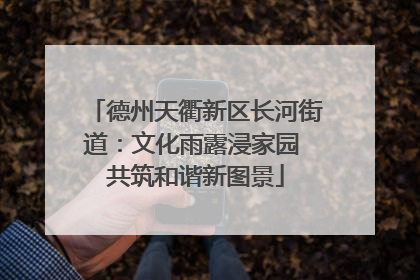 德州天衢新区长河街道：文化雨露浸家园 共筑和谐新图景