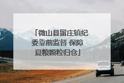 微山县留庄镇纪委靠前监督 保障夏粮颗粒归仓