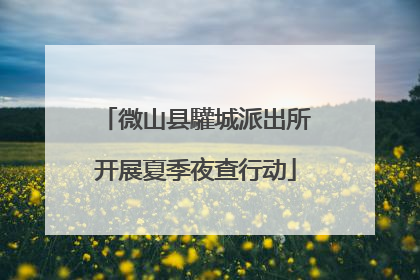 微山县驩城派出所开展夏季夜查行动