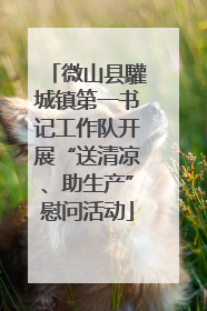 微山县驩城镇第一书记工作队开展“送清凉、助生产”慰问活动