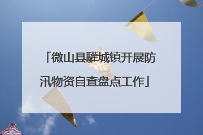 微山县驩城镇开展防汛物资自查盘点工作