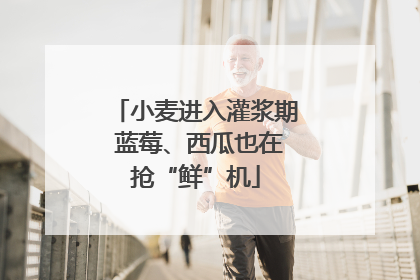 小麦进入灌浆期 蓝莓、西瓜也在抢“鲜”机