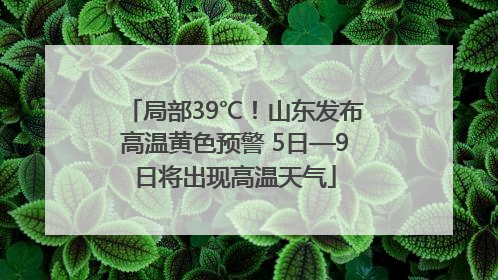 局部39℃！山东发布高温黄色预警 5日—9日将出现高温天气