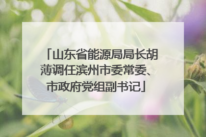 山东省能源局局长胡薄调任滨州市委常委、市政府党组副书记