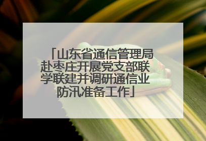 山东省通信管理局赴枣庄开展党支部联学联建并调研通信业防汛准备工作