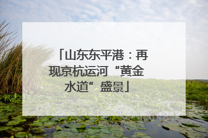 山东东平港：再现京杭运河“黄金水道”盛景