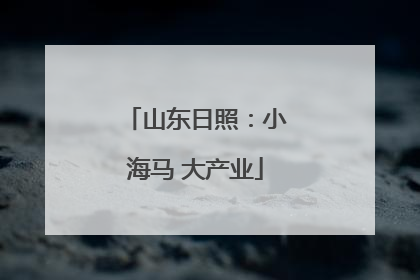 山东日照：小海马 大产业